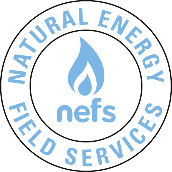 NEFS Store logo